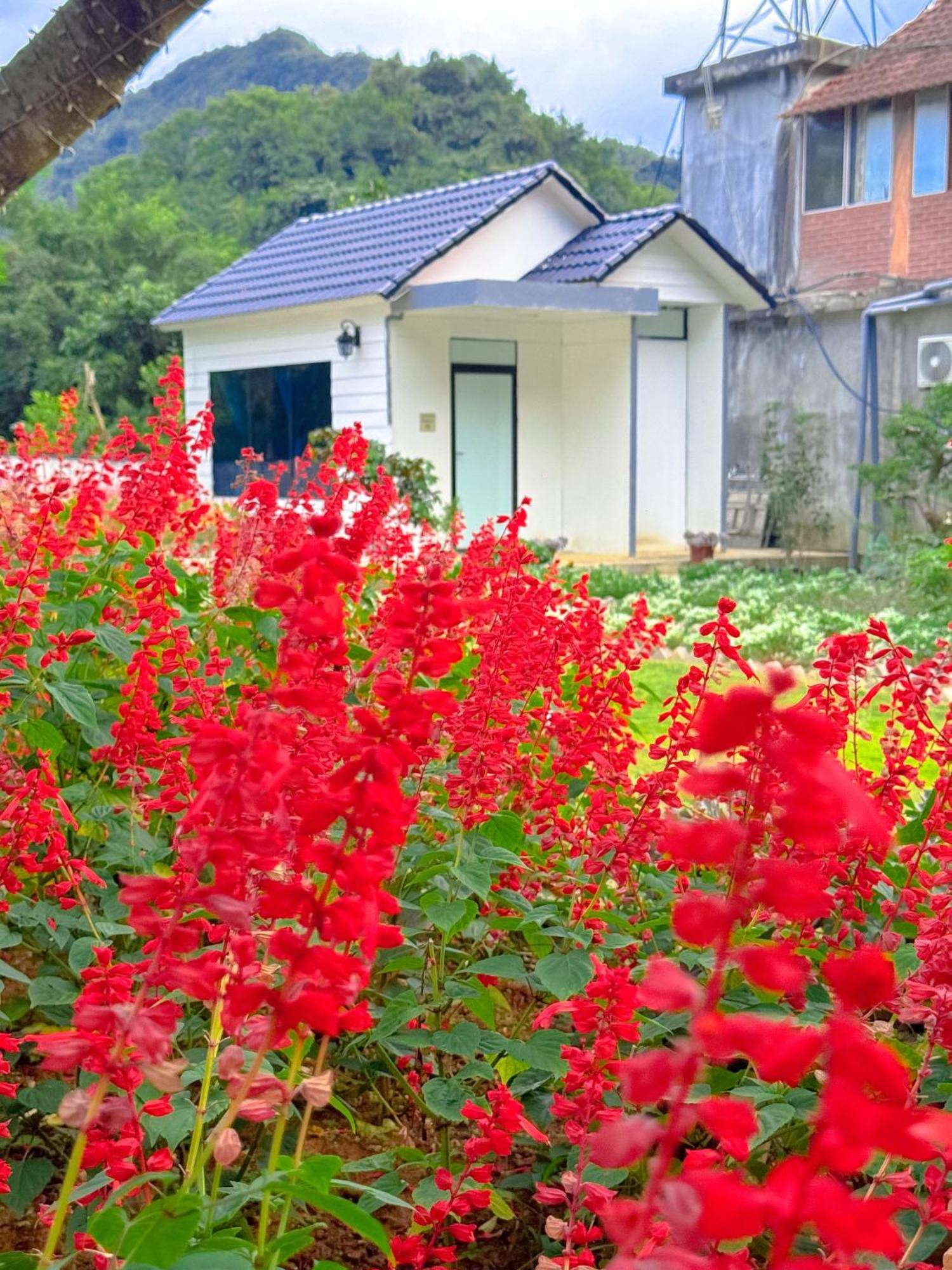 Готель Moc Chau House Екстер'єр фото